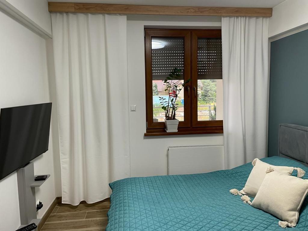 Apartament Sosnowy Zakatek Hlivice Exteriér fotografie