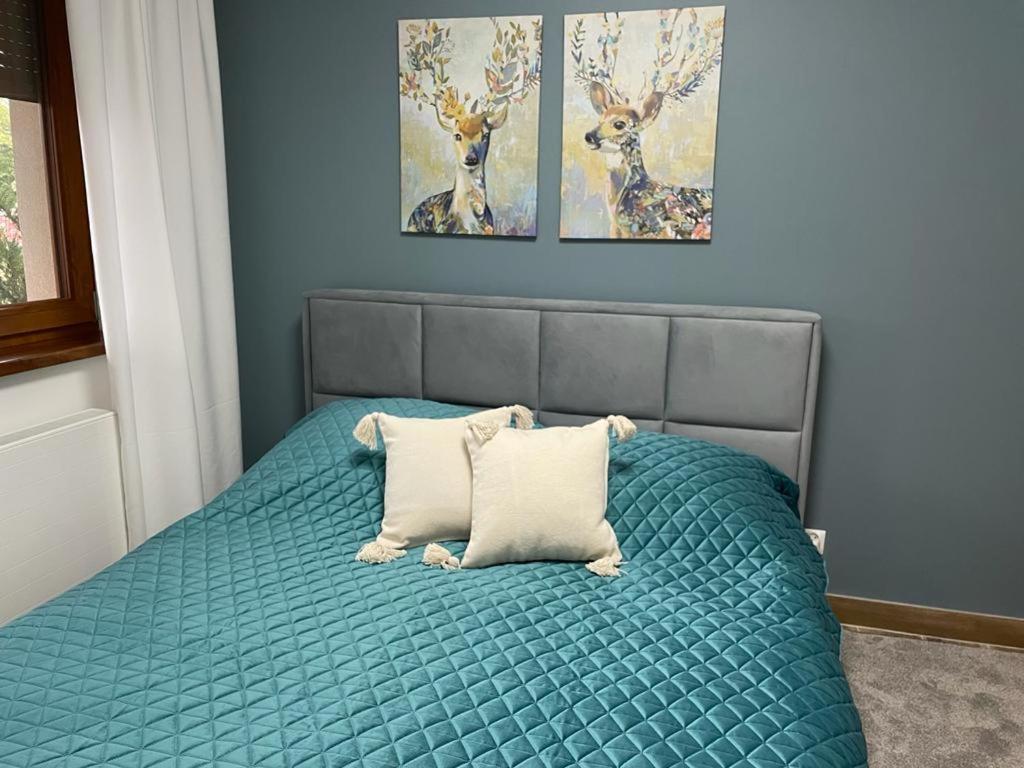 Apartament Sosnowy Zakatek Hlivice Exteriér fotografie